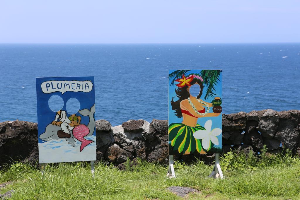 Plumeria Pension Jeju Dış mekan fotoğraf